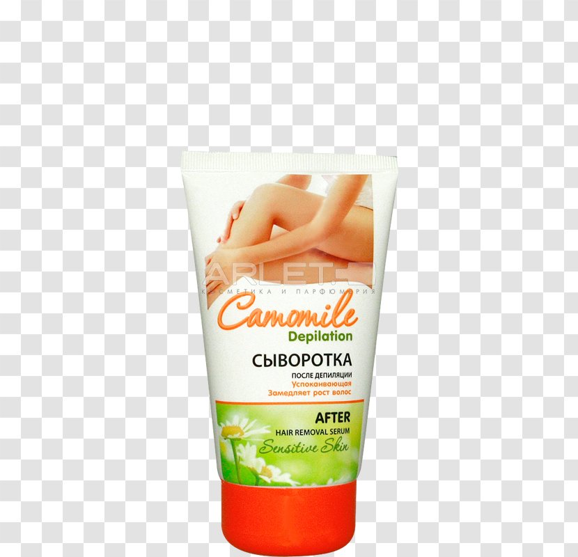 Cream Cosmetics Lotion Sunscreen Skin - Service - Depilação Transparent PNG
