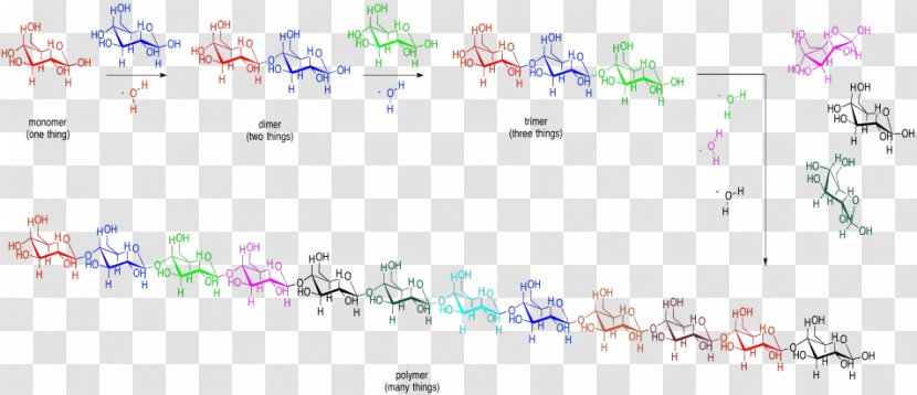 Document Line Angle Point Technology - Paper - Biological Macromolecules Transparent PNG