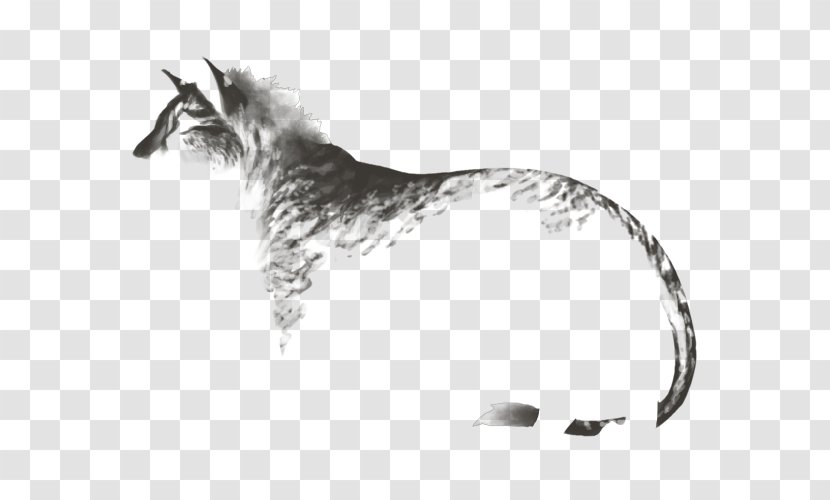 Felidae Cat Maltese Dog Lion Whiskers - Puma - Dance Transparent PNG