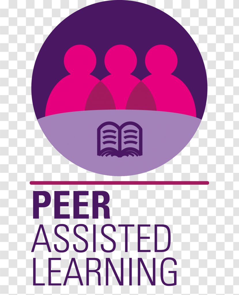 Peer Mentoring Learning Student Education Transparent PNG