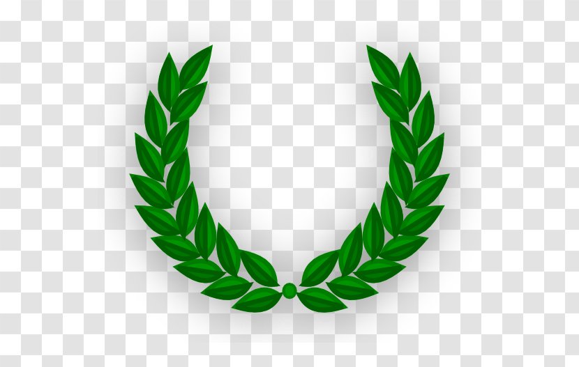 Bay Laurel Wreath - Olive Transparent PNG