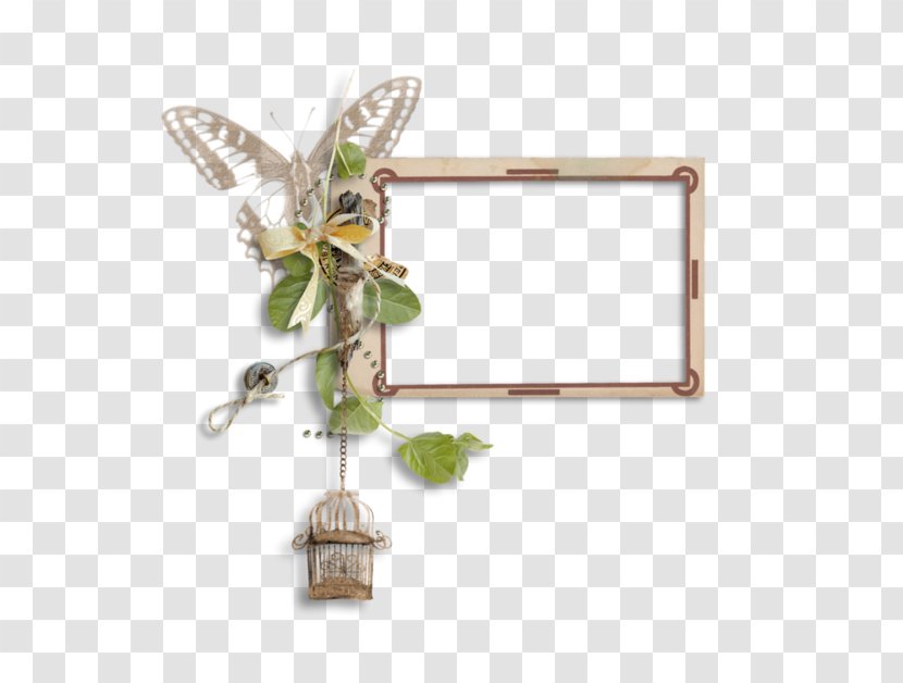 Butterfly Picture Frame - Creative Cage Transparent PNG