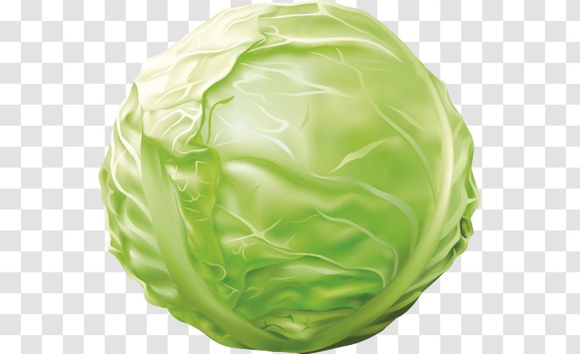 Red Cabbage Vegetable Kale - Produce Transparent PNG
