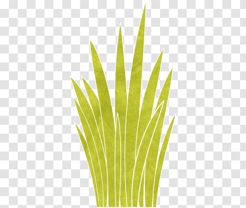 Leaf Grasses Plant Stem Commodity Family Transparent PNG