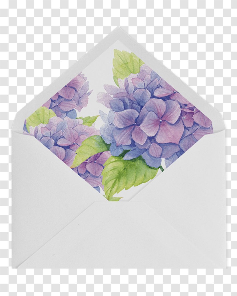 Hydrangea Floral Design Cut Flowers Rose Family - Flower Transparent PNG
