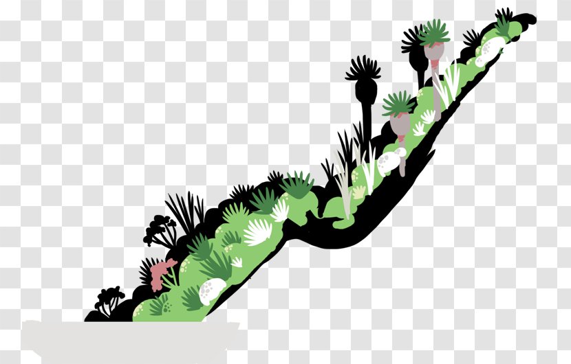 Humboldt Current Galápagos Islands Biodiversity Climate Change - Ecosystem - Ird Transparent PNG