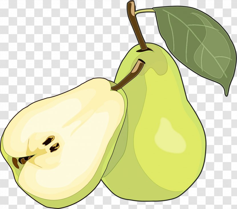Apple Tree - Fruit - Accessory Food Transparent PNG