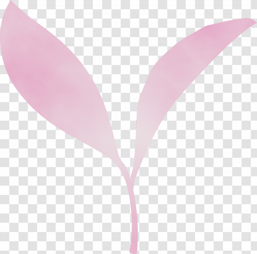 Pink Leaf Violet Plant Magenta Transparent PNG