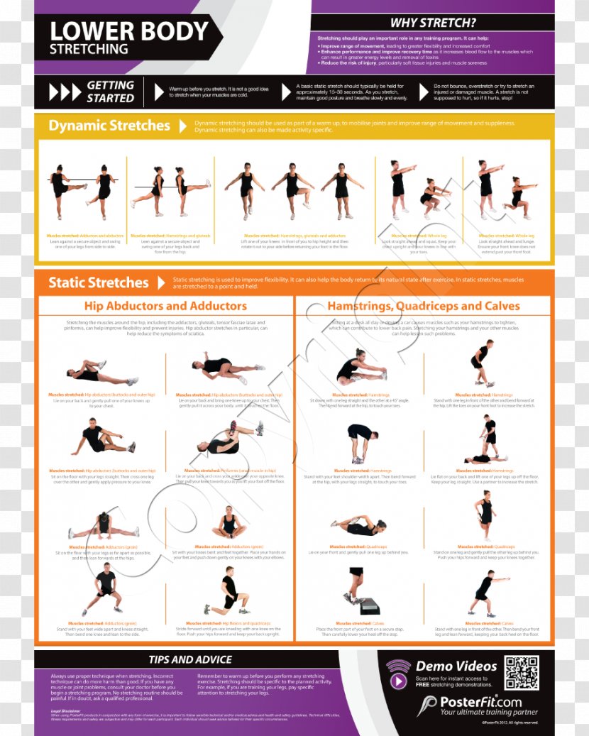 Stretching Torso Weight Training Exercise Cooling Down - Catalog Charts Transparent PNG