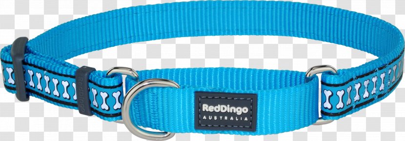 Dingo Dog Collar Martingale - Collars Transparent PNG