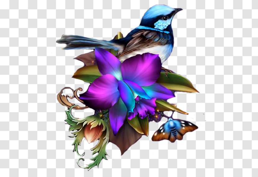 Clip Art Floral Illustrations Borders And Frames Image - Bird - Painting Transparent PNG