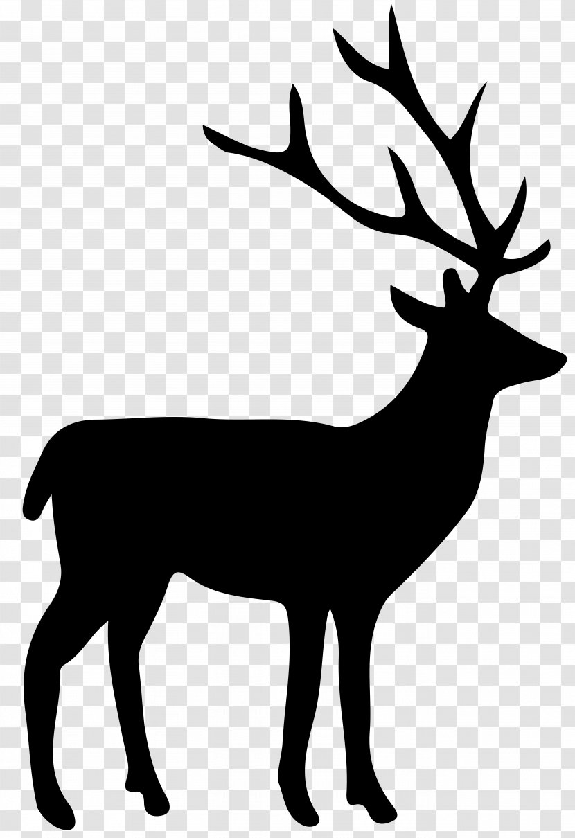 Deer Moose Image - Reindeer Transparent PNG