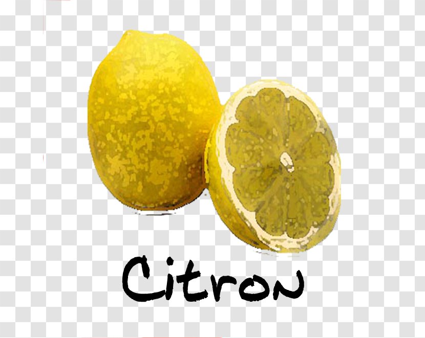 Lemon Sorbet Menton Lime Ice Cream - Peel - Citron Transparent PNG