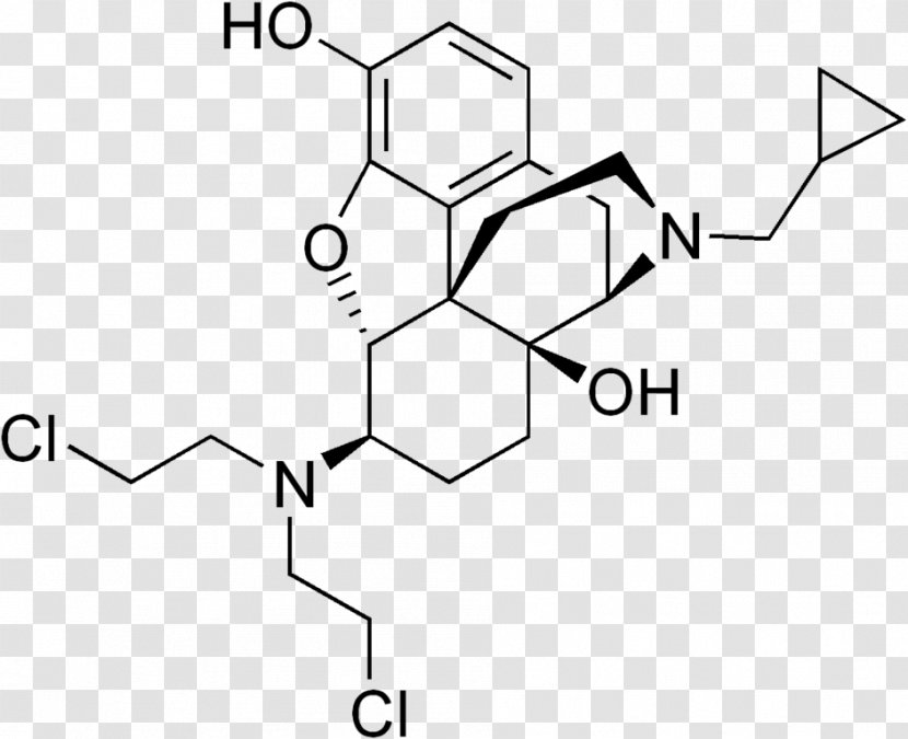 Morphine Functional Group Oxymorphone Opioid Chemistry - Silhouette - Examining Transparent PNG