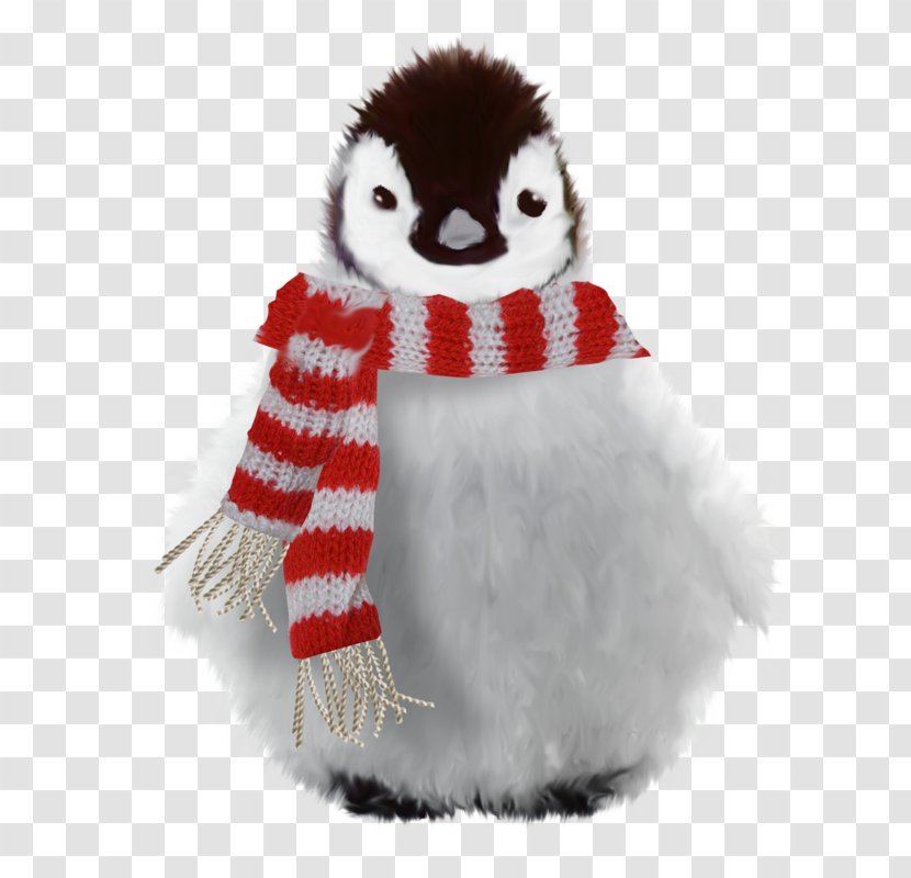 Cartoon Animals - Penguin - Toy Fur Transparent PNG