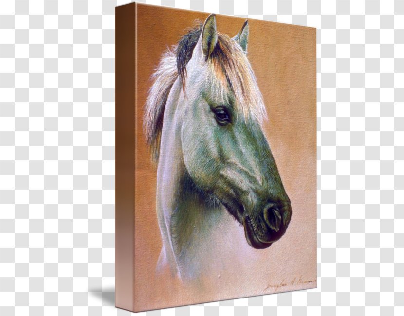Jigsaw Puzzles Watercolor Painting Drawing Art - Paint - Arabian Horse Transparent PNG