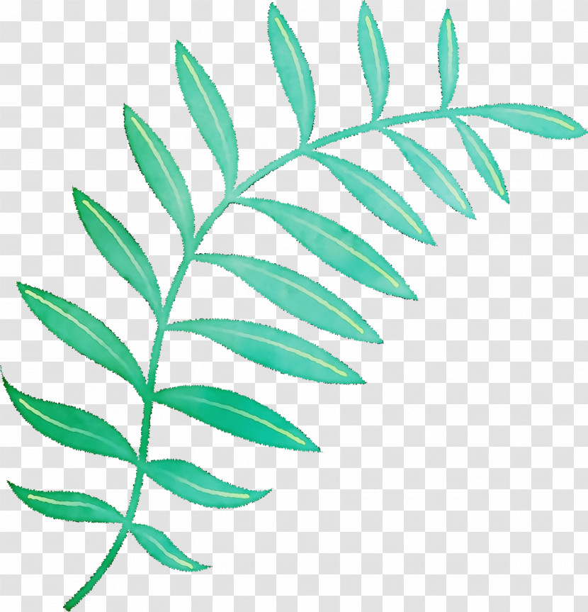 Plant Stem Branch Leaf Line Plants Transparent PNG