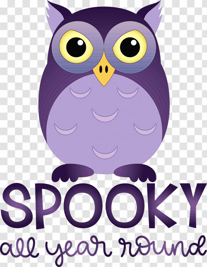 Owls Birds Beak Cartoon Bird Of Prey Transparent PNG