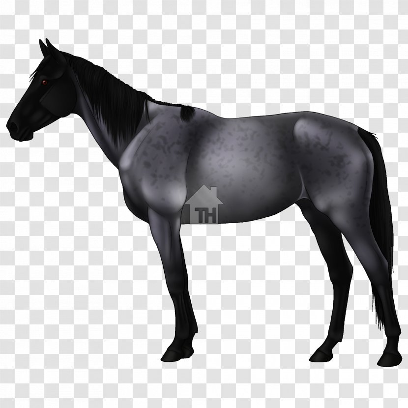 Mustang Appaloosa Akhal-Teke Arabian Horse Mane - Neck Transparent PNG