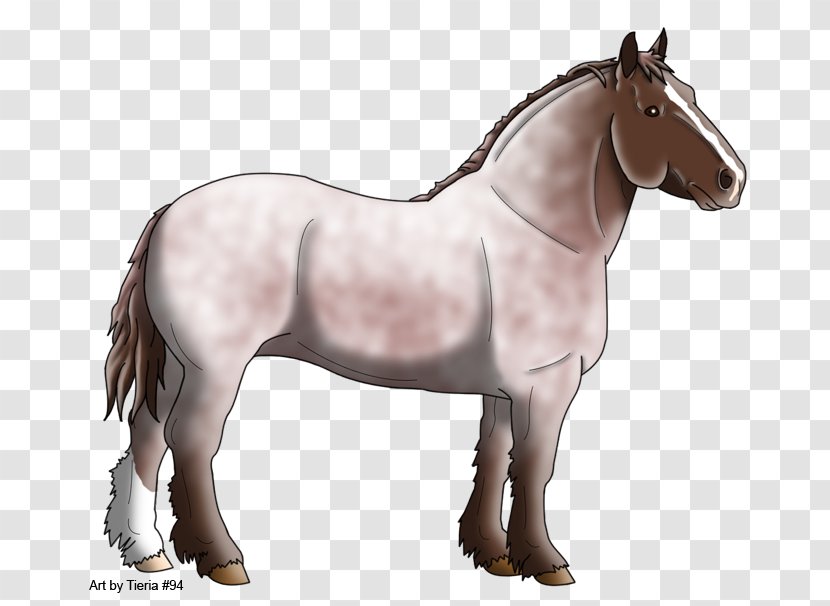 Mane Mustang Stallion Mare Rein - Horse Tack Transparent PNG