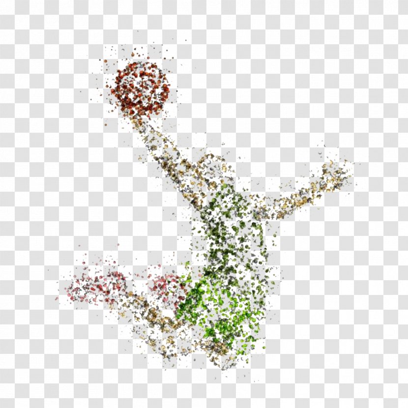 Basketball Backboard Sport Illustration - Ball - Youth Transparent PNG