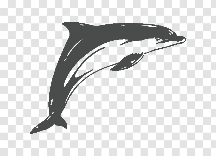 Common Bottlenose Dolphin Car Rough-toothed Short-beaked Sticker - Roughtoothed Transparent PNG