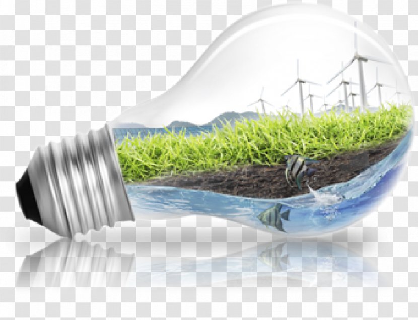 Stock Photography Incandescent Light Bulb Alternative Energy Renewable - Depositphotos Transparent PNG