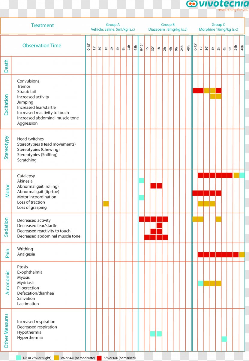 Observational Study Sprawdzian Test Method - Pharmacology - Mydriasis Transparent PNG