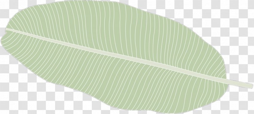 Product Design Leaf Line - Green Transparent PNG