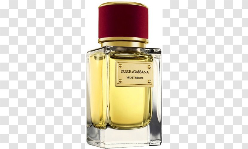 Perfume Dolce & Gabbana Eau De Parfum Osmoz Toilette Transparent PNG