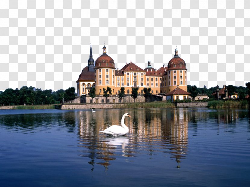 Moritzburg Castle Dresden Neuschwanstein Das Concierge - Waterway - German Town Charming Scenery Transparent PNG