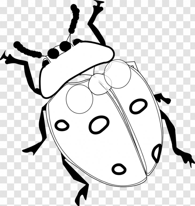 Ladybird Beetle Coloring Book Clip Art - White - Ladybugs Transparent PNG