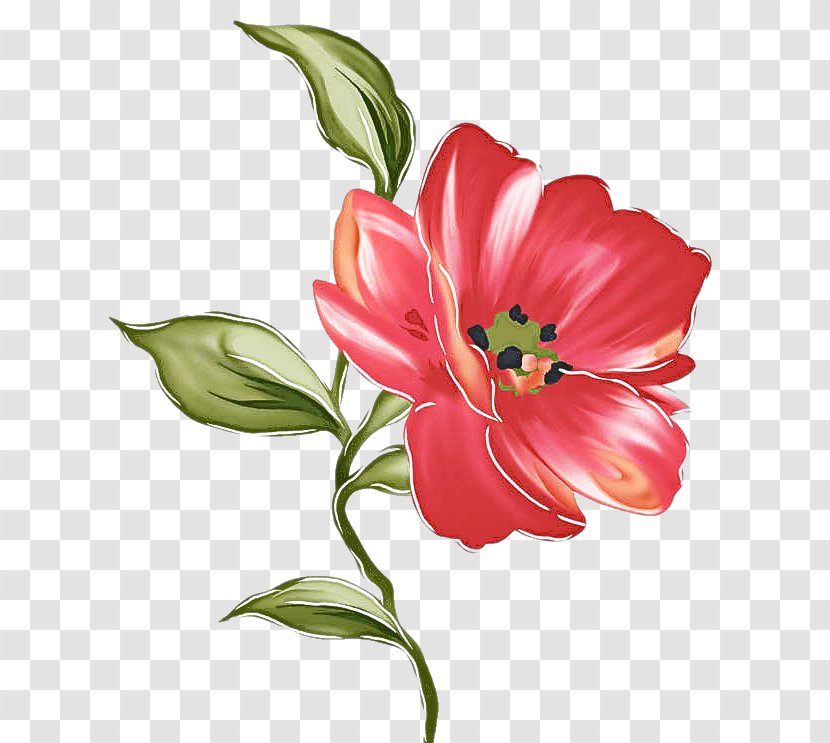 Flower Flowering Plant Petal Red - Tulip - Cut Flowers Transparent PNG