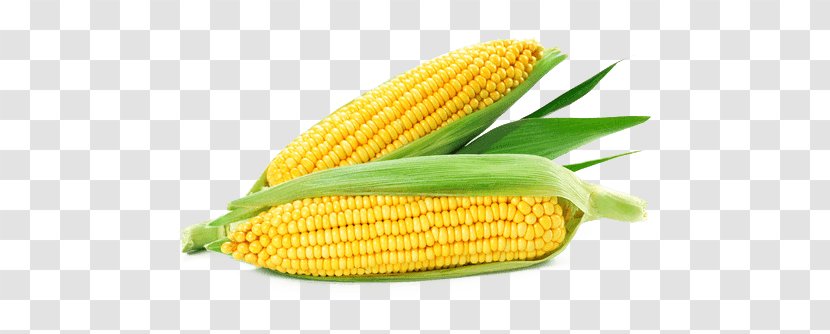 Corn On The Cob Maize Corncob Sweet Kernel - Vegetable Transparent PNG