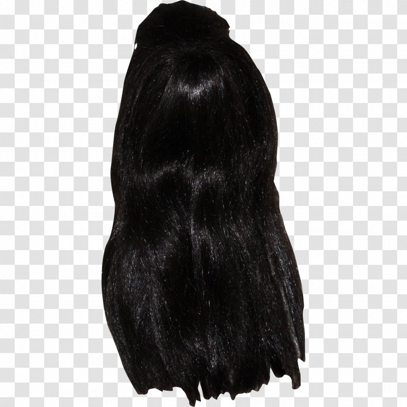 Fur Black Hair M Transparent PNG