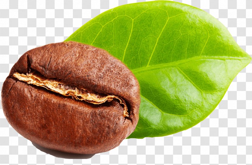 Green Coffee Extract Tea Bean - Beans Transparent PNG