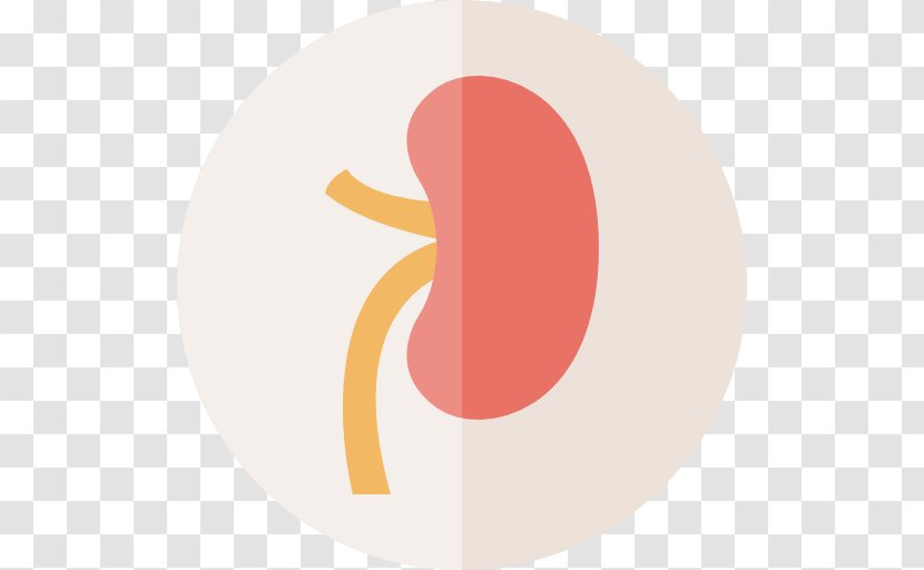 Logo Brand - Internal Organs Transparent PNG