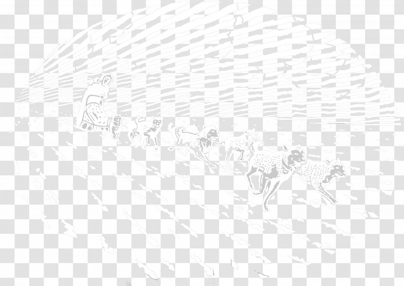 White Figure Drawing Sketch - Sky - Design Transparent PNG