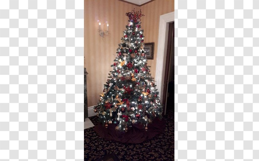 Christmas Tree Ornament Spruce Fir Transparent PNG