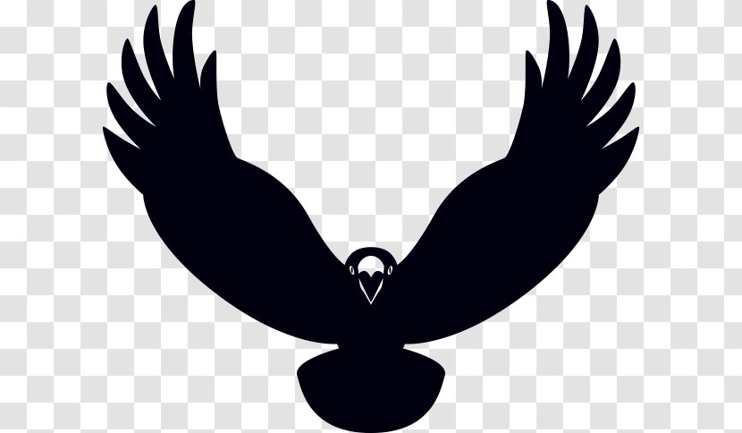 Eagle Beak Black Silhouette Clip Art Transparent PNG