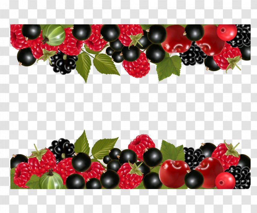 Photography Royalty-free - Cranberry - Berries Transparent PNG