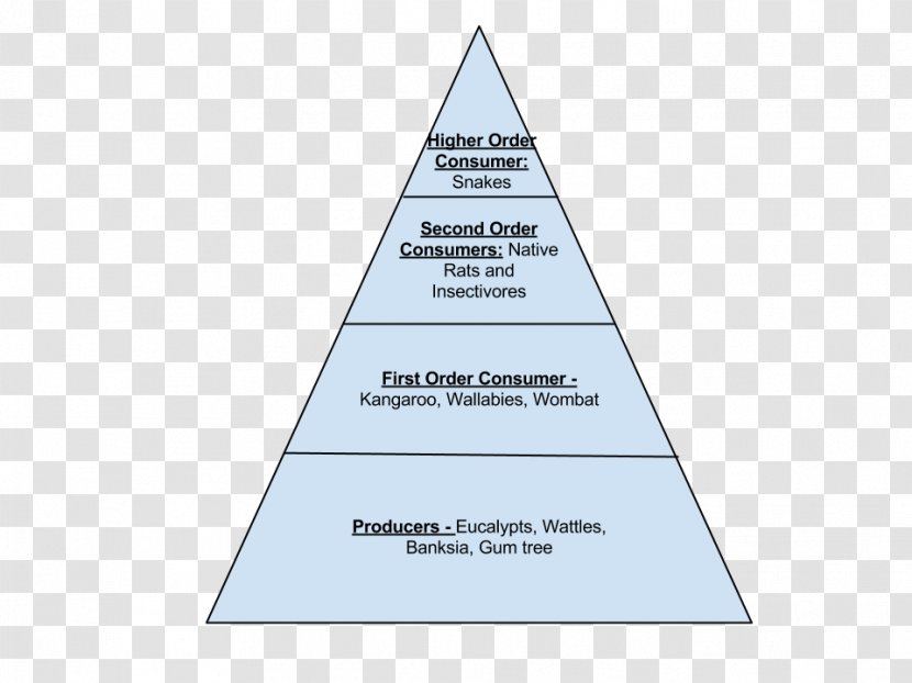 Triangle Area Pyramid Diagram - Brand - Vast Expanse Transparent PNG