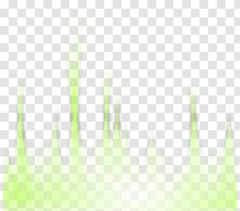 Desktop Wallpaper Energy Sunlight Close-up Font - Grass Transparent PNG