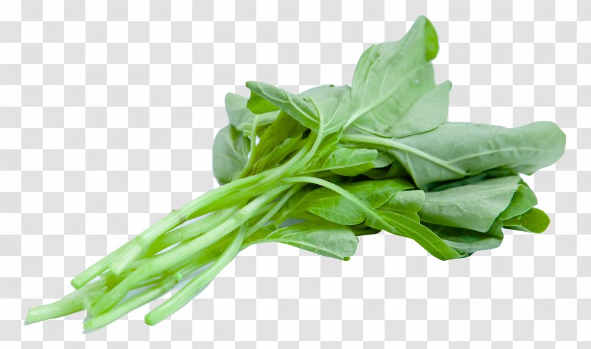 Juice Spinach Leaf Vegetable - Malabar - Chinese Transparent PNG