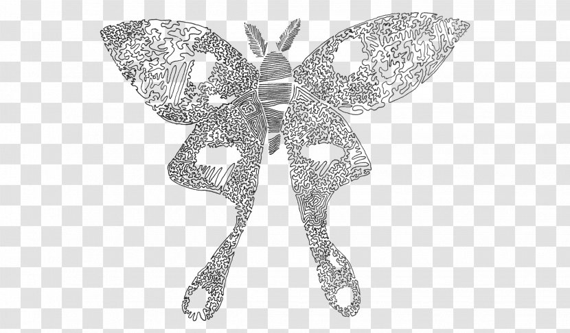 Moth /m/02csf Drawing Insect Product - Pollinator - Seafoam Green Butterflies Transparent PNG