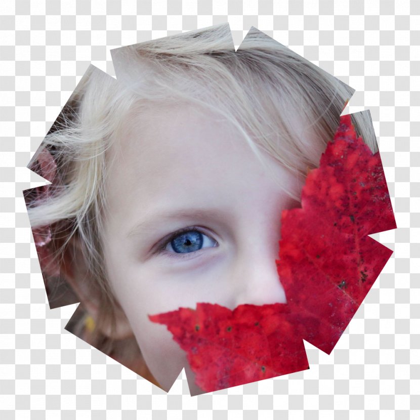 Book Review Child E-book Picture - Heart Transparent PNG