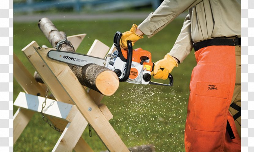 Stihl Chainsaw Price Sales Cost - Grass Transparent PNG