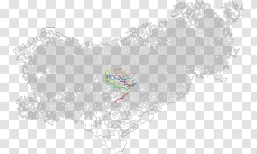 Map Tree Tuberculosis Sky Plc Transparent PNG