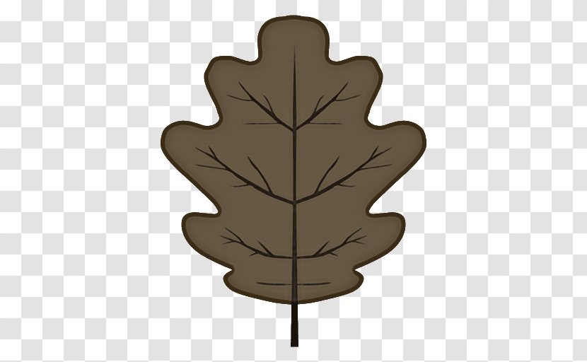Maple Leaf - Plane - Oak Transparent PNG