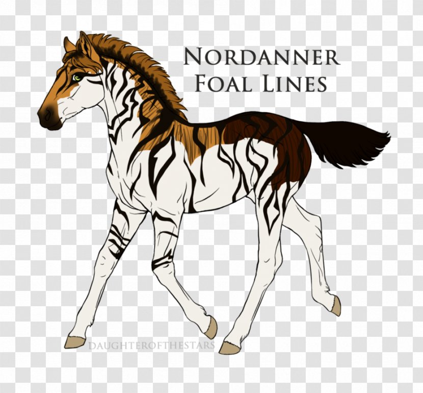 Mustang Pony Foal Stallion Mane Transparent PNG